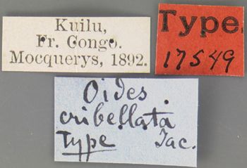 Media type: image; Entomology 17549   Aspect: labels